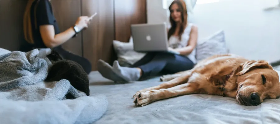 Working from home? The key considerations