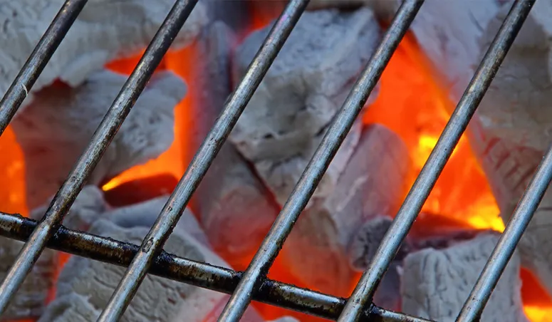 Barbecue Safety Tips