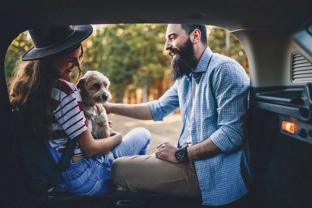 Protecting your furry friends